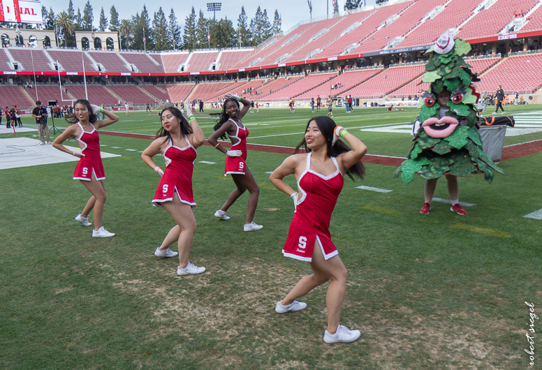 stanford football 2024